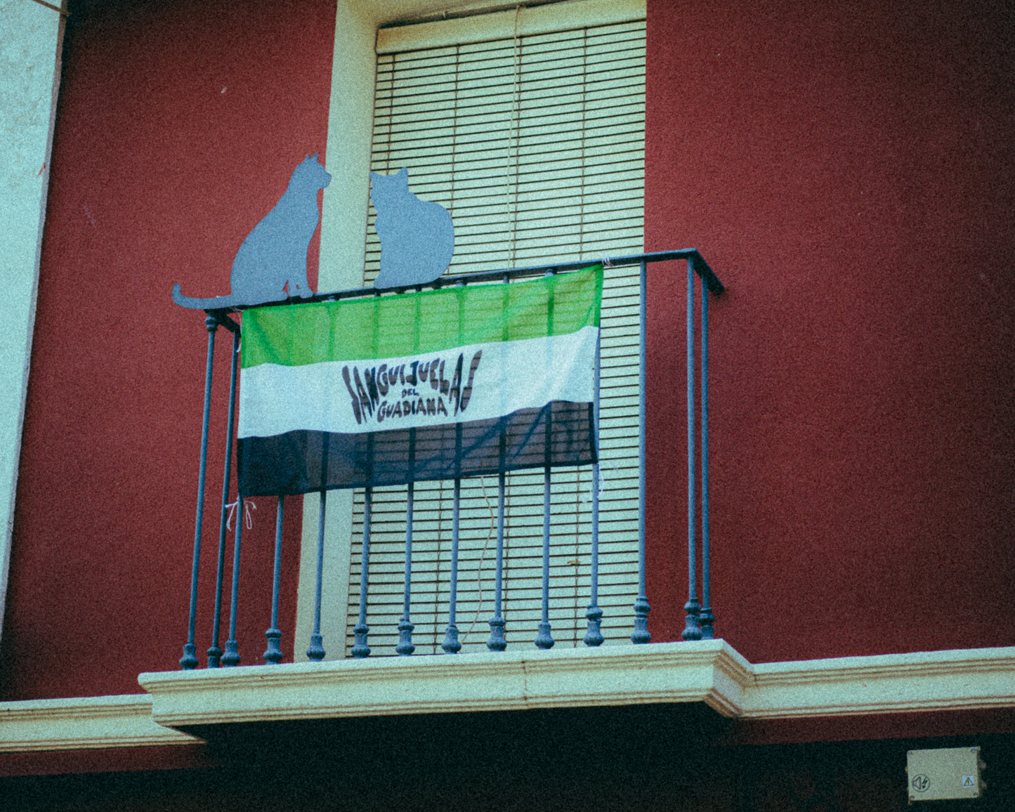 Bandera de "Sanguijuelas del Guadiana"