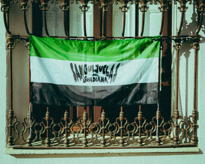 Bandera de "Sanguijuelas del Guadiana"